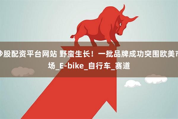 炒股配资平台网站 野蛮生长！一批品牌成功突围欧美市场_E-bike_自行车_赛道