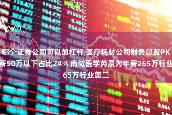 哪个证券公司可以加杠杆 医疗耗材公司财务总监PK：年薪50万以下占比24% 南微医学芮晨为年薪265万行业第二